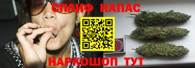 гашик Ипатово