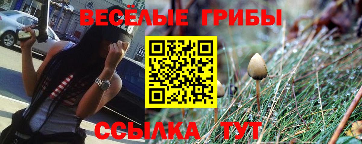 Галлюциногенные грибы MAGIC MUSHROOMS Буйнакск