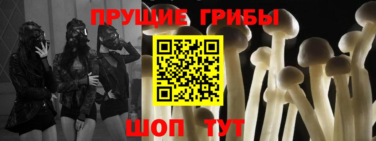 Галлюциногенные грибы Magic Shrooms  Вход с VPN  Буйнакск 